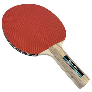 Raquette de tennis de table en bois pour DÉBUTANT